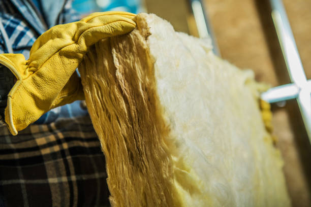 Best Specialized Insulation Services in Auburn, ME